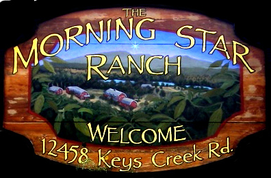 Welcome To The Morning Star Ranch